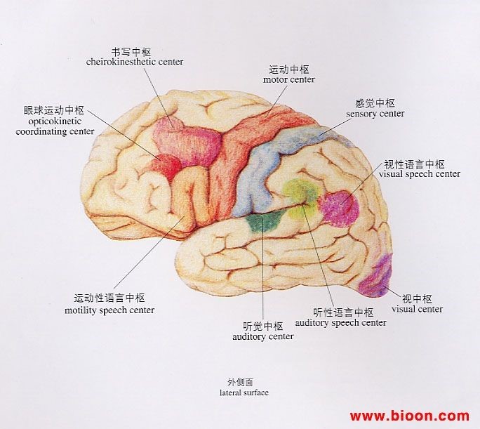 平创医疗产后计量敷垫